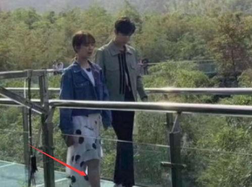 杨紫和肖战最新真实爆料,揭秘幕后故事与真实情感